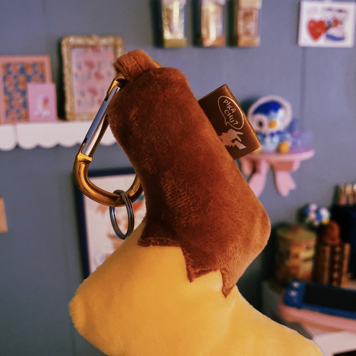 クローゼットの奥からピカチュウのしっぽみつけた！
ポケセンに買いに行った思い出💭
同じの持ってる人多そう！