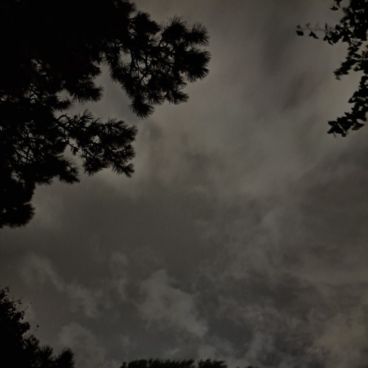 Night. And again, and again. One day we should get together. Some day we’ll fix all this. It doesn’t have to be this way. And again, and again