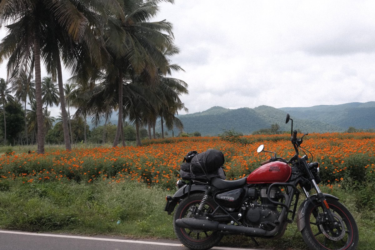 tamilnadu is sooo beautiful if you ignore the chennai metropolitan area. every district i travel, the frames are just wow.  taking mostly the b-roads, away from all national highways. 

blessed land fr.