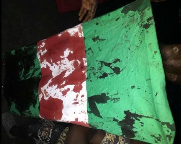 __DeeeCR7's tweet image. To every soul we lost to police brutality and the End SARS protest - your courage still echoes. You deserved better, but Nigeria has only grown darker under this same wicked system.
Rest on, heroes. Your sacrifice will never be forgotten. 🕊️