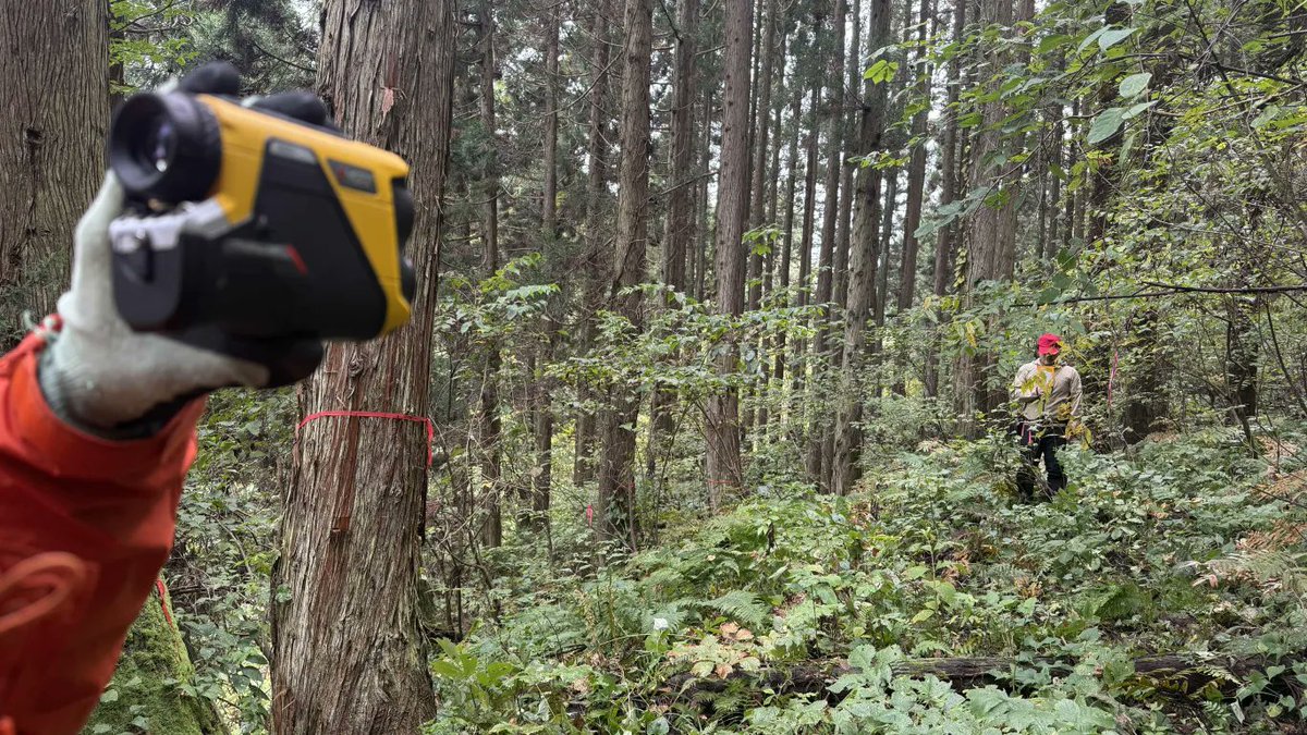 ringyoukousya's tweet image. 携帯型レーザー距離計トゥルーパルス360iを導入しました！
測量の速度、精度共に向上してクオリティの高い仕事ができるようになりました💪✨
#LASERTECH #林業 #秋田