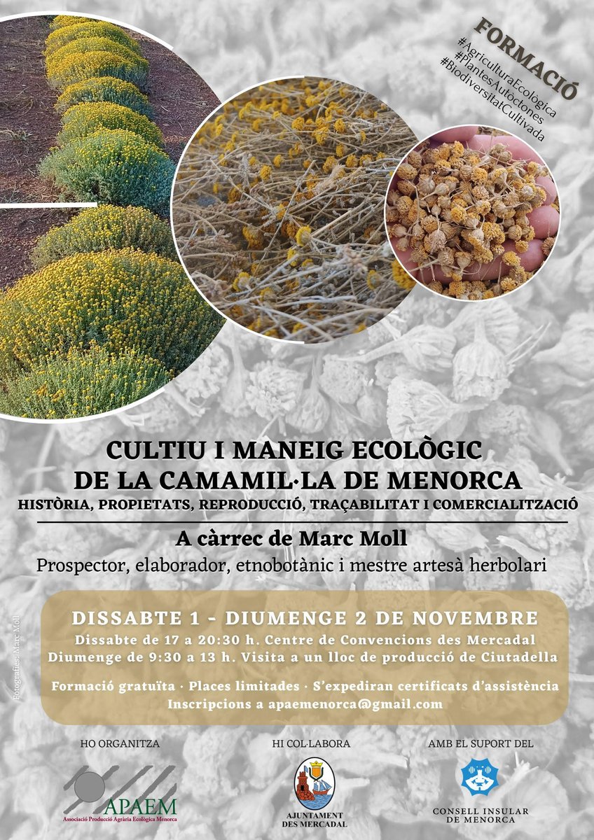 CBPAE's tweet photo. 📢Els companys de @apaemenorca han organitzat aquest interessant curs de formació dirigit sobretot a l'àmbit professional de la pagesia.
🗓️El pròxim dissabte 1 i diumenge 2 de novembre, as Mercadal.
▶️Ens han demanat difusió, ens ajudau!
#AlimentsEcodeBalears 🌱🌱🐝🐝 https://t.co/WGnHq6dkds