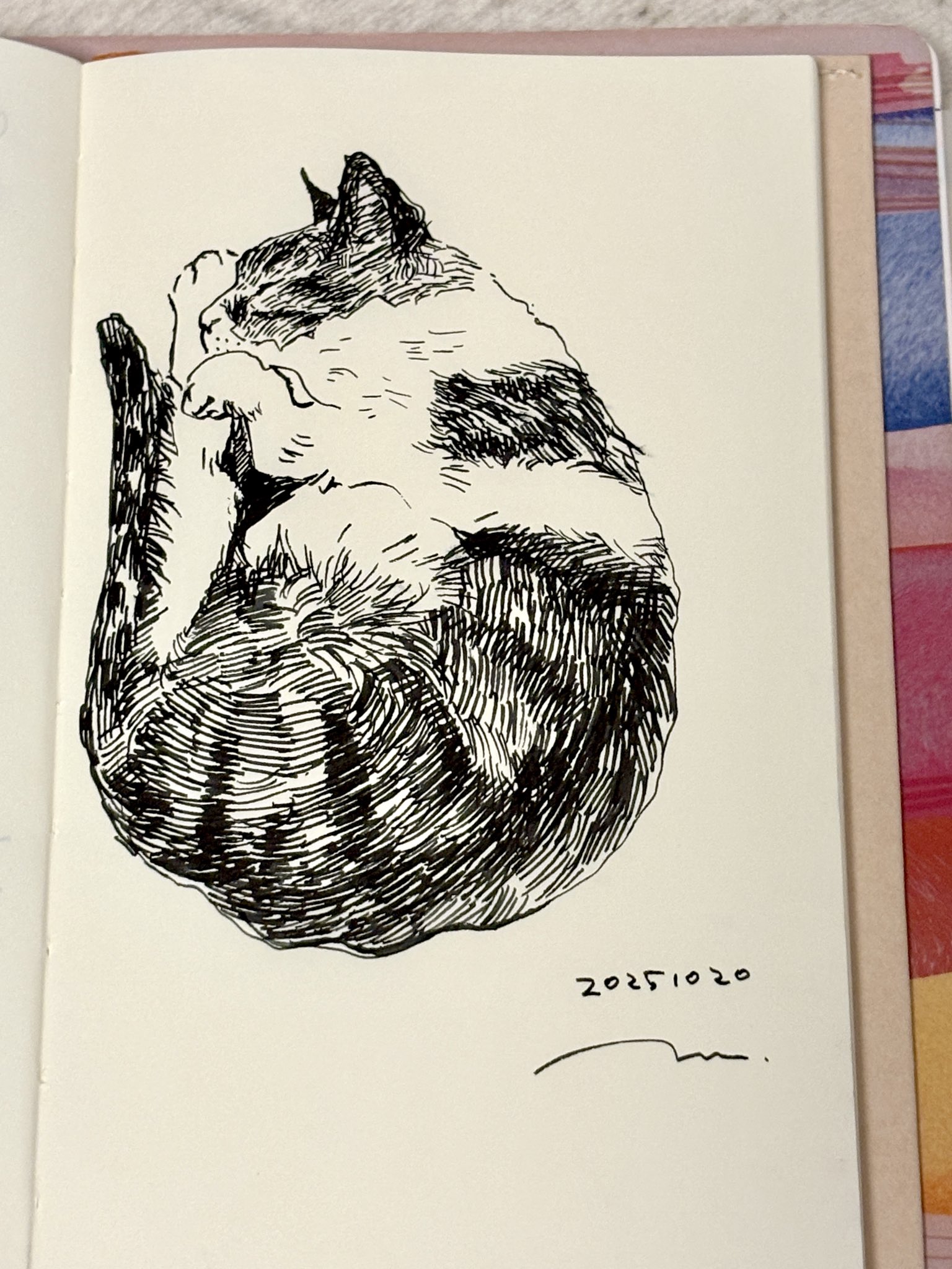 ♡ねむり猫様確認ページ♡ マスブチミナコ｜個展10/29〜11/3 on X: 