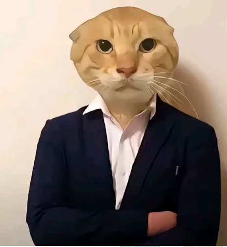 不管你愿不愿意承认, 这轮BSC的行情已经阶段性结束了, 目前行情惨淡加上各种P小将的涌入甚至不如国庆之前.

现在车头要么不玩, 要么底部上一个大仓位然后在+40% 左右迅速出本, 那受苦的就是跟单的散户了, 他们出本也会带走一批人. 你说你想埋伏, 不好意思, 车头不上的盘子那是一点量都没有,