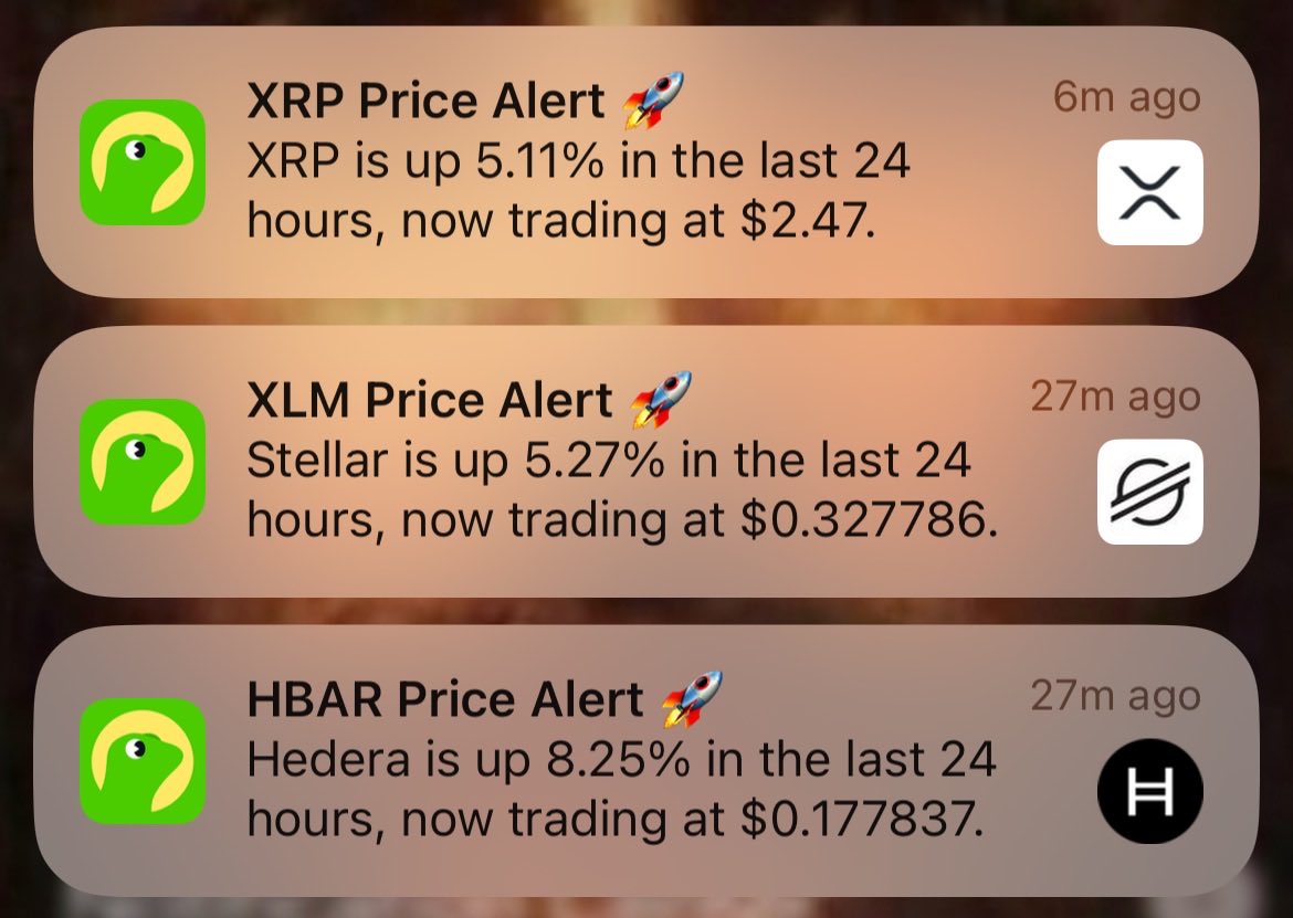 X Remi Relief X (@remireliefx) on Twitter photo 