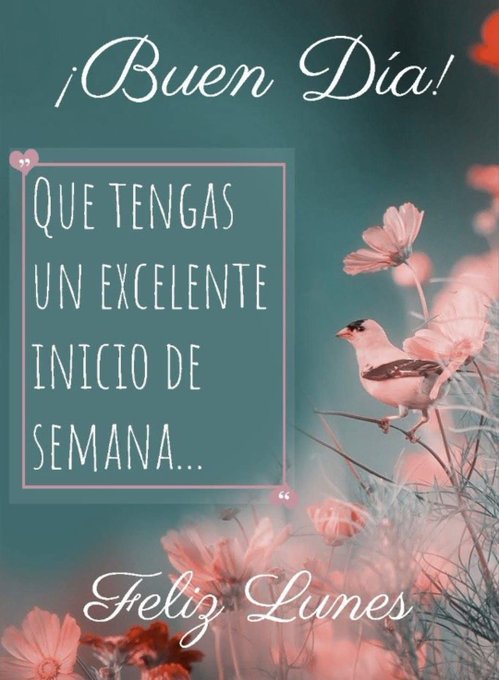 The image displays elegant white text saying Buenos Dias at the top and Feliz Lunes at the bottom on a teal background. A rectangular white box in the center contains text reading Que Tengas Un Excelente Inicio De Semana with quotation marks and hearts. Surrounding the text are clusters of pink flowers and green stems. A small bird with black and white feathers perches on a thin branch extending from the right side.
