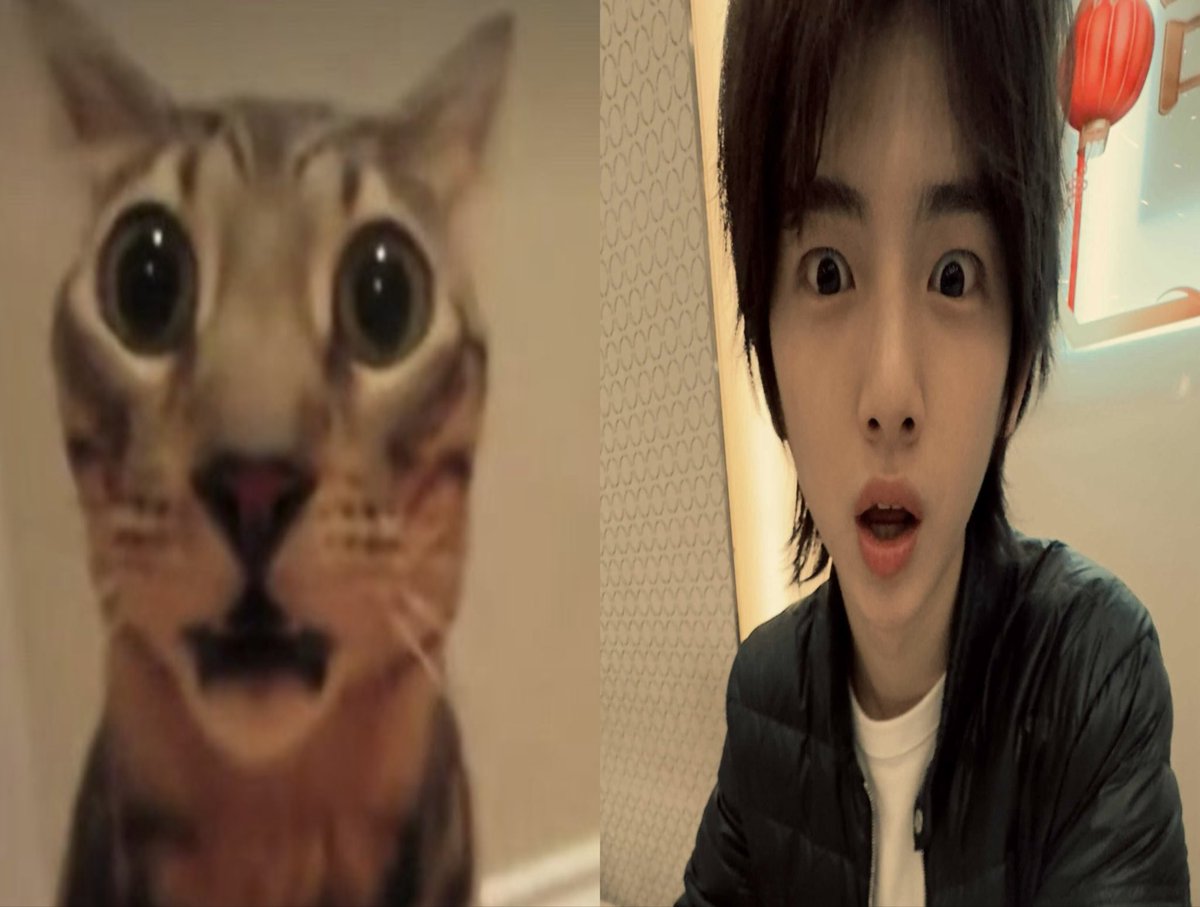 2oclock (@vesitc) on Twitter photo 