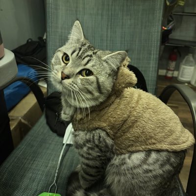 Spaceman_El's tweet image. #NewProfilePic