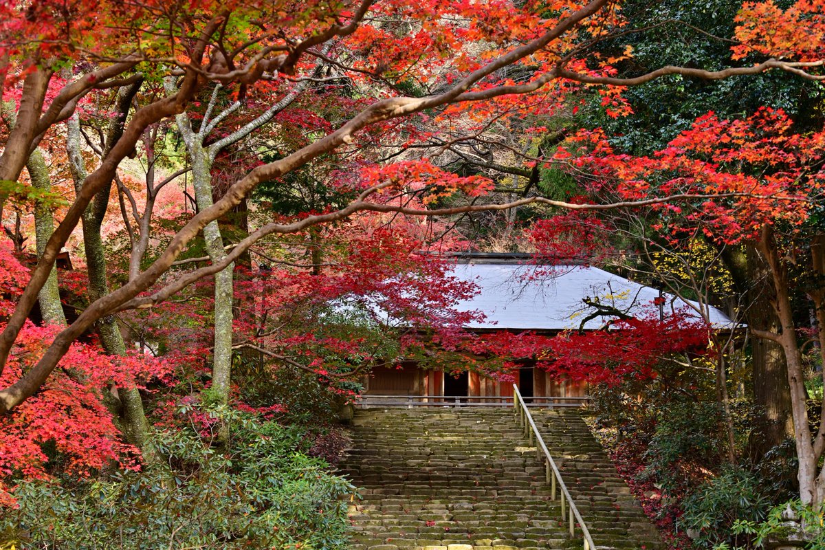 いざいざ奈良 on X