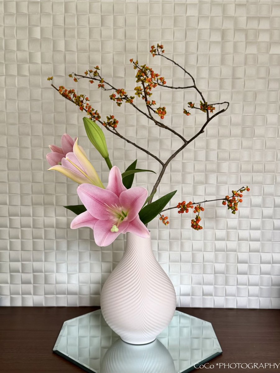 coco (@39coco39coco) / X