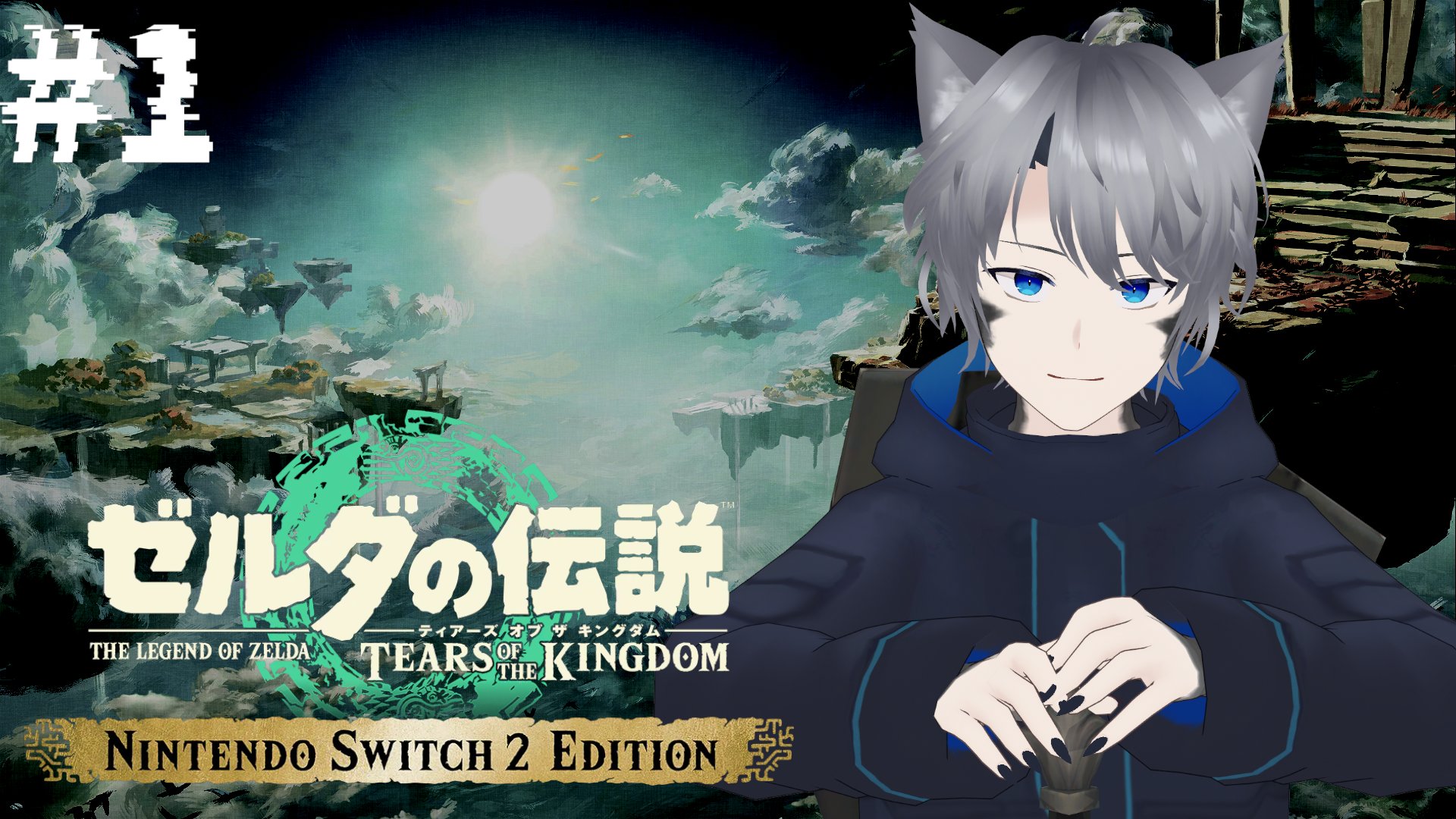 ゼルダの伝説　2個セット ゼルダの伝説 2本セット ゼルダの伝説2つセット Switch ゼルダの