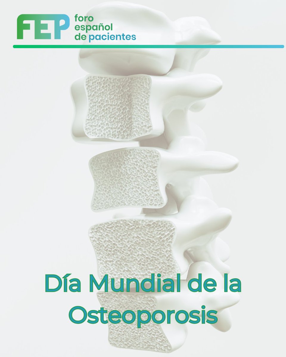 🌍#ConoceTuAsociación

Hoy es el Día Mundial de la #Osteoporosis, para concienciar sobre la prevención, diagnóstico y tratamiento de esta enfermedad, que debilita los huesos y aumenta el riesgo de fracturas

📌 #AsociacionesDePacientes relacionadas en:

🌐 forodepacientes.org/asociacionismo…