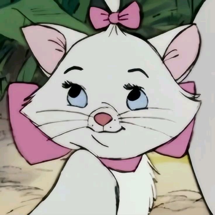 twinklyfluffybo's tweet image. My pikky boo booo pookiee 🐈🎀✨