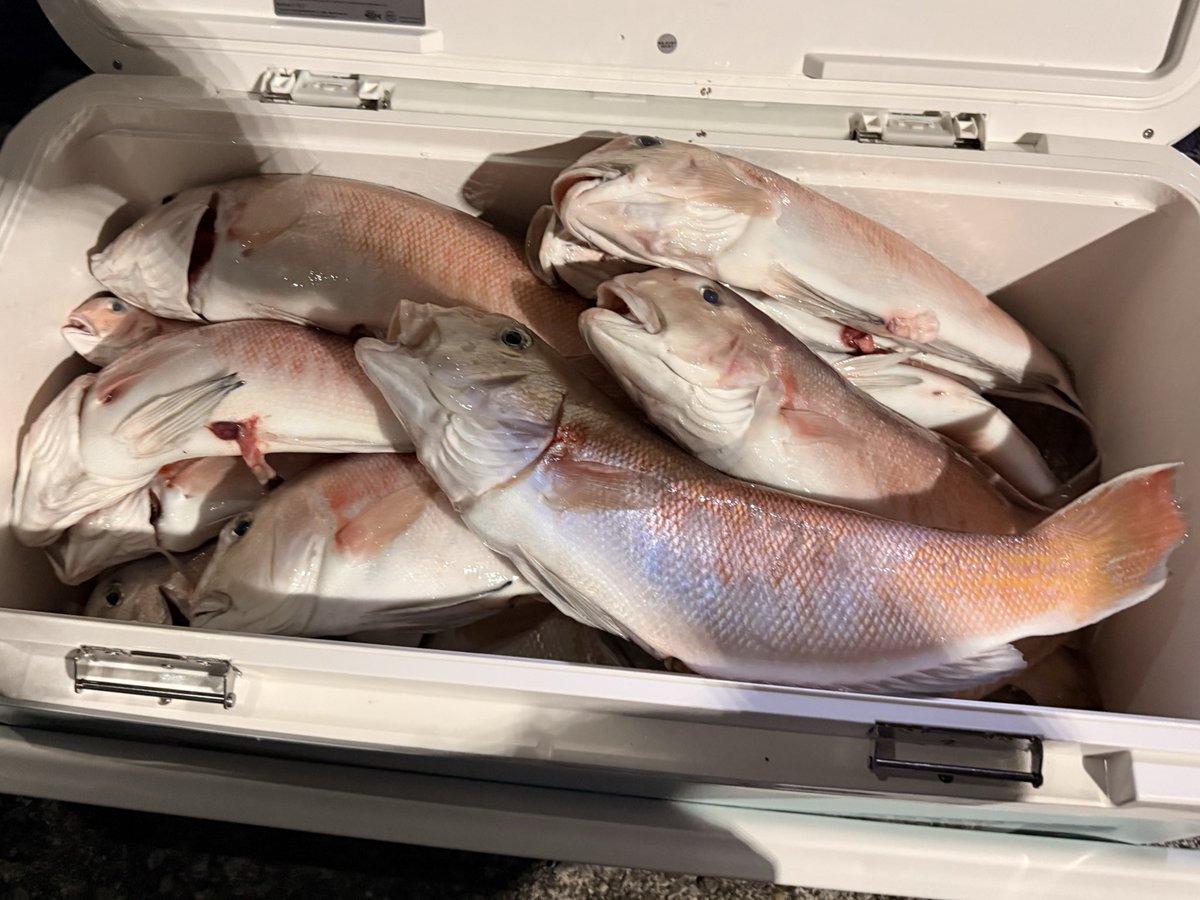 海ちゃんページ DP12 1/350 海上自衛隊 潜水艦用 デカールセット – ピットロード