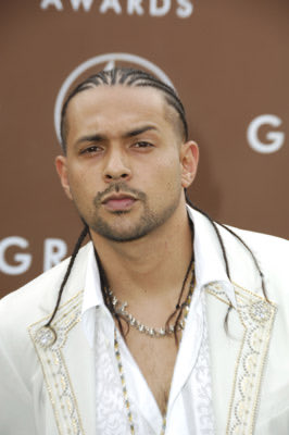 Who had a bigger career Shaggy or Sean Paul? 
Im tryna see something?