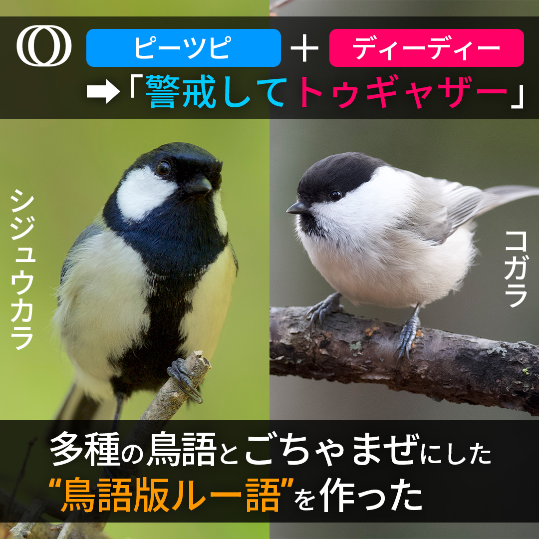 Tweet media one