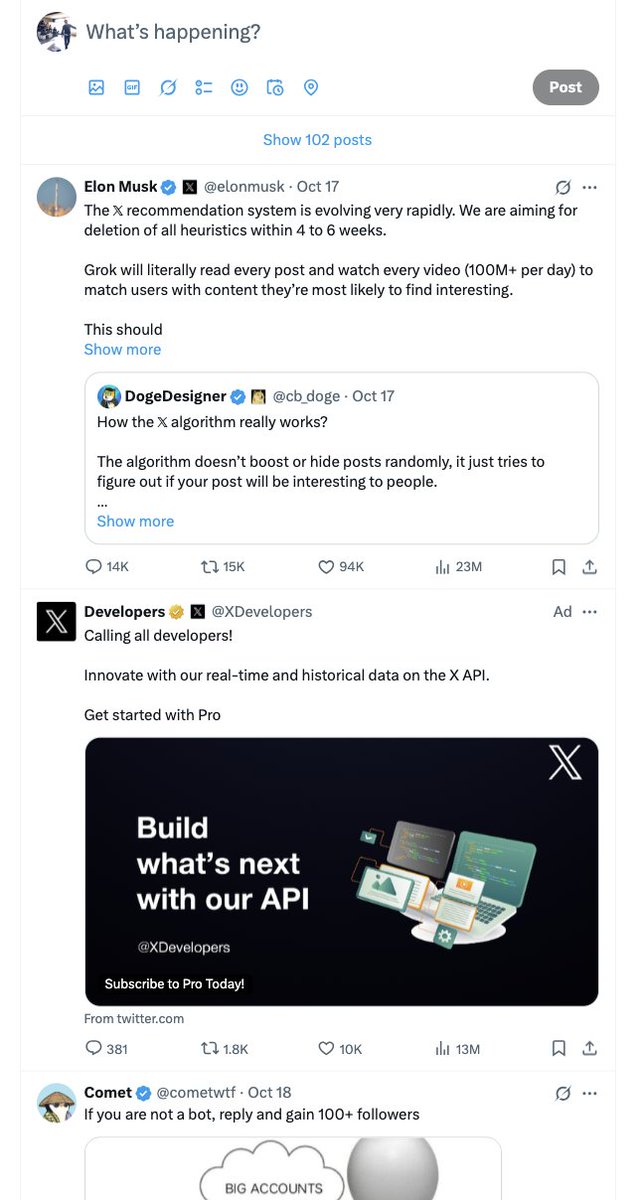 Is it a coincidence - for an irregular X user - first, Elon Musk, second Dev X?