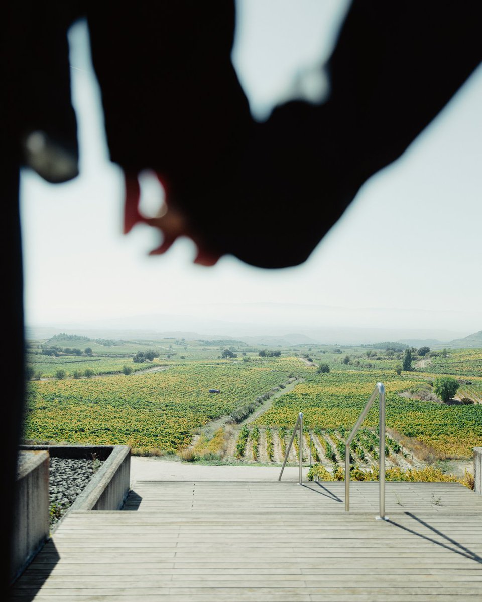 Descender seis pisos bajo tierra, descubrir el alma del vino y dejarse envolver por el paisaje que nos da la vida.
¡Reserva tu visita!
✖️bodegasbaigorri.com/#enoturismo

Descend six floors underground, discover the soul of wine and immerse yourself in the landscape that gives us life.