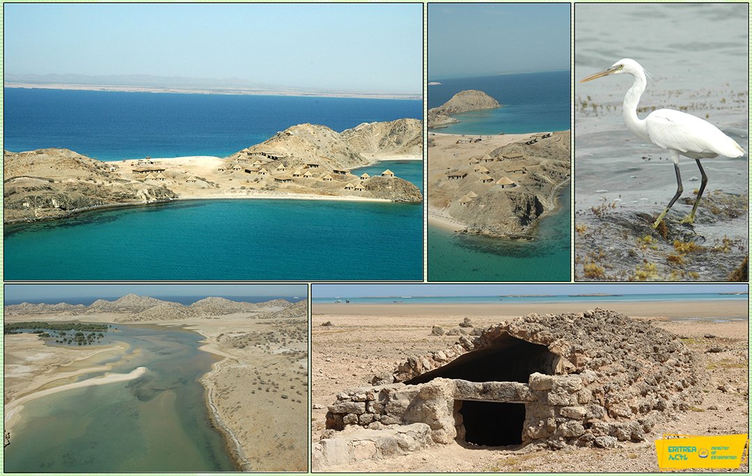 <a href="/Er_Thomas_Zerai/">Thomas Zerai PFDJ 🇪🇷🐪🇪🇷</a> <a href="/Lulna15/">Lulna.M🇪🇷🐪</a> <a href="/US_SrAdvisorAF/">U.S. Senior Advisor for Arab and African Affairs</a> <a href="/EUSR_Weber/">Annette Weber</a> <a href="/Antonio_Tajani/">Antonio Tajani</a> <a href="/KSAmofaEN/">Foreign Ministry 🇸🇦</a> <a href="/GiorgiaMeloni/">Giorgia Meloni</a> <a href="/AfricaFirsts/">Africa First</a> <a href="/gdrarr/">G. Drar</a> <a href="/wikileaks/">WikiLeaks</a> <a href="/llombartpatUE/">Patricia Llombart 🇪🇺</a> #ዳህላክ ኤርትራ 🇪🇷

ዳህላክ ከቢር መጸውዒ ኤርትራ ካብ ዘለዋ 35ዐ ደሴታት ናይ126 ዝኾና ደሴታትና መጸውዒን መጠርነፊን ኮይኑ ከም ሓደ ንኡስ ዞባ ይጽዋዕ ። ካብ'ዘን ደሴታት ሰብ ዝገብረለን ዘሎ 5 ደሴታት ጥራሕ እየን ። ዳህላክ ከቢር እታ ዝዓበየት