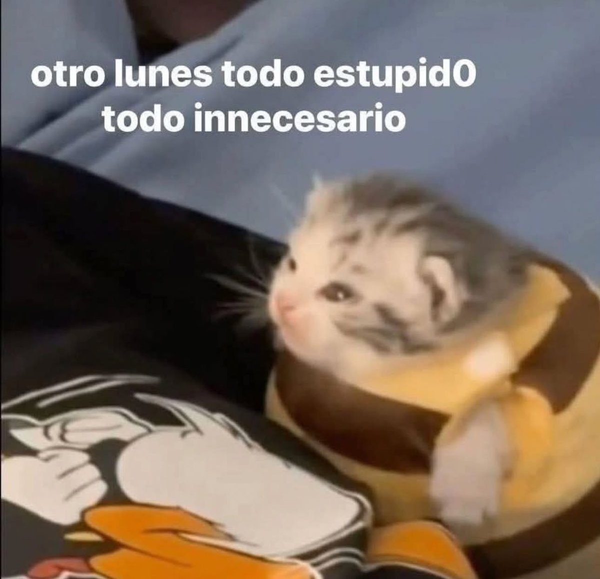 piña sin pizza (@skereunpesado) on Twitter photo 