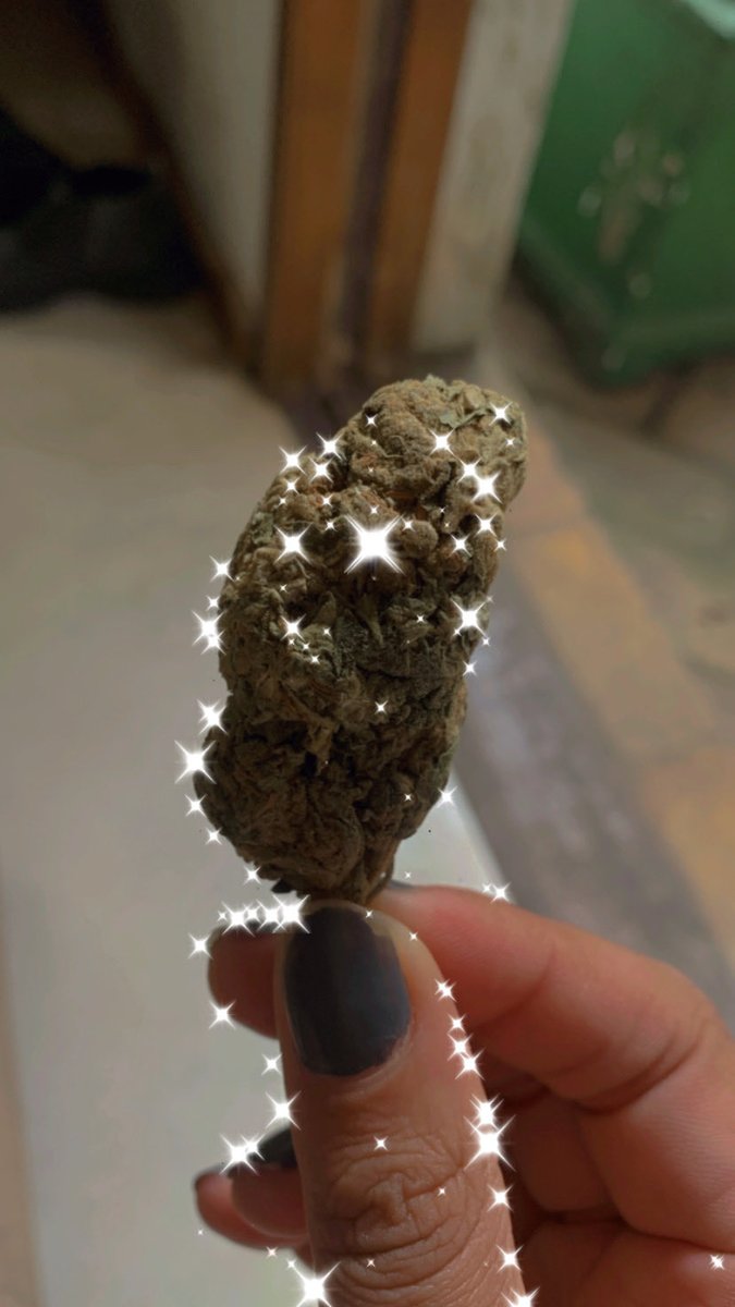 DressaReh's tweet image. #QueenTings #Masego #TiffanyGouche 

🤙🏼🍃🤍🌻✨