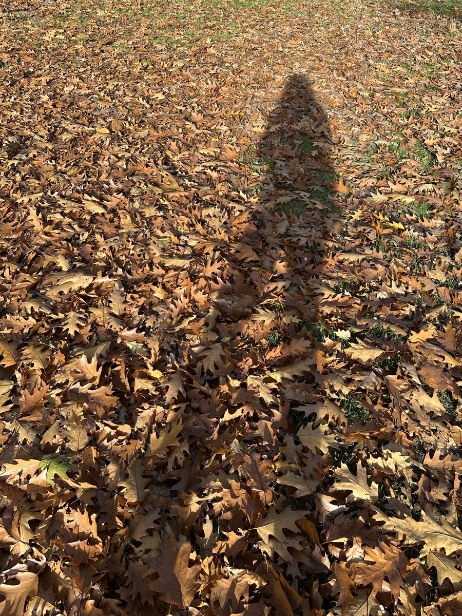 Günaydın ile başlayalım yeni bir haftaya. 🫶🌞🍁🍂