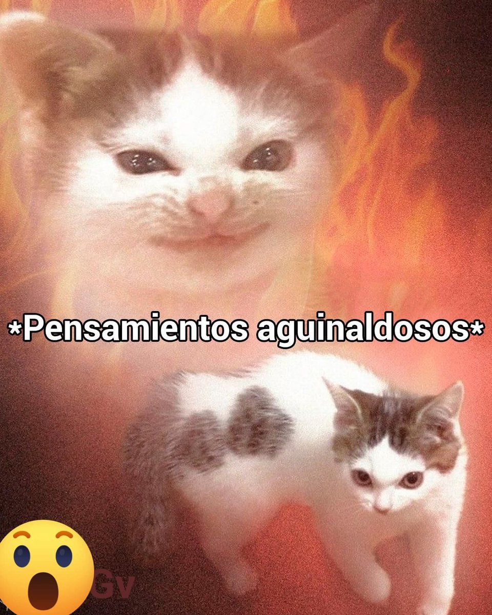 En Júpiter (@en_jupiter_) on Twitter photo 