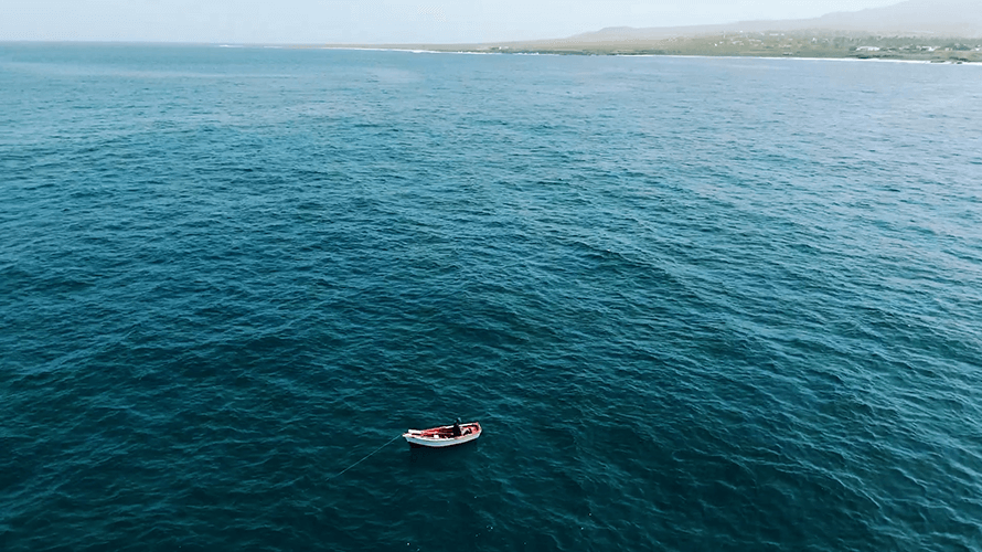 笹川平和財団 Sasakawa Peace Foundation tweet media