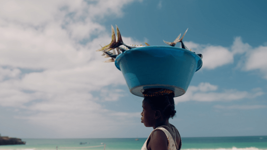 笹川平和財団 Sasakawa Peace Foundation tweet media