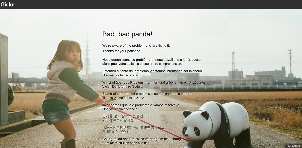 mikemcniven's tweet photo. Hate when #BadPanda shows up on Flickr, so annoying when you're wanting to check stats or upload new photos https://t.co/VV7mAuRhUI