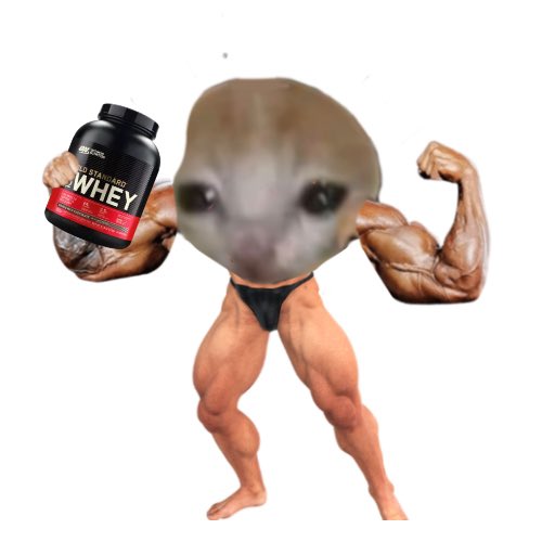 肌肉猫梗拿着乳清蛋白，代表猫咪梗币的强势