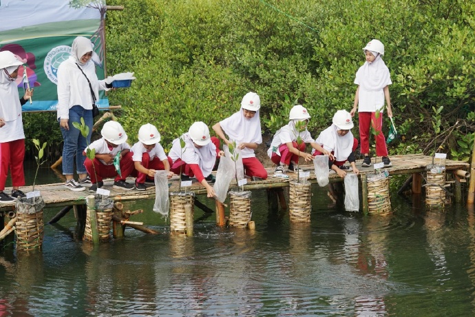 energy_chn's tweet image. #EcologicalRestoration 🌿
From 5 → 19 hectares in 8 years!
The Java 7 Project in Indonesia expanded mangrove forests by 280%, turning fragile tidal flats into a thriving habitat—proving energy & ecology can grow together. 💡🌍
#Sustainability #CSR #GreenDevelopment