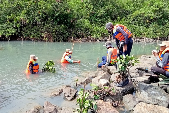 energy_chn's tweet image. #EcologicalRestoration 🌿
From 5 → 19 hectares in 8 years!
The Java 7 Project in Indonesia expanded mangrove forests by 280%, turning fragile tidal flats into a thriving habitat—proving energy & ecology can grow together. 💡🌍
#Sustainability #CSR #GreenDevelopment