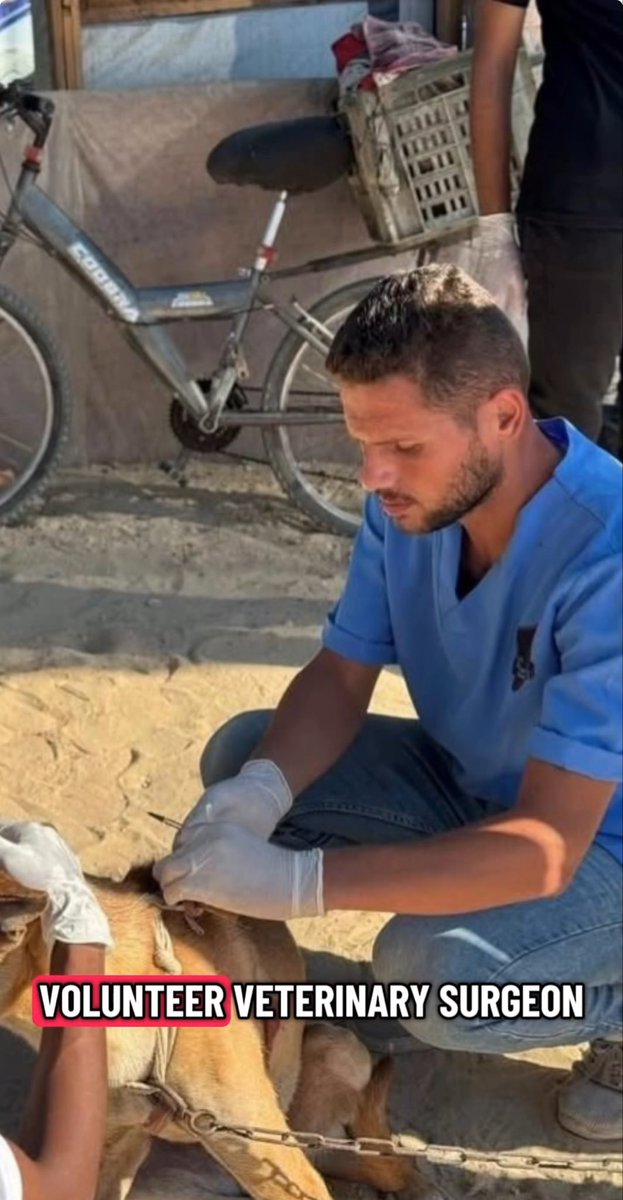 Sulala Animal Rescue è l’associazione di volontari che negli ultimi 2 anni ha curato gli animali di Gaza.
Ieri è stato ritrovato il corpo del Dr.Moath Abu Rukbeh,il veterinario che li operava, scomparso da giorni. Ucciso perchè tentava di raggiungere la sua casa a Jabalia.
Voleva