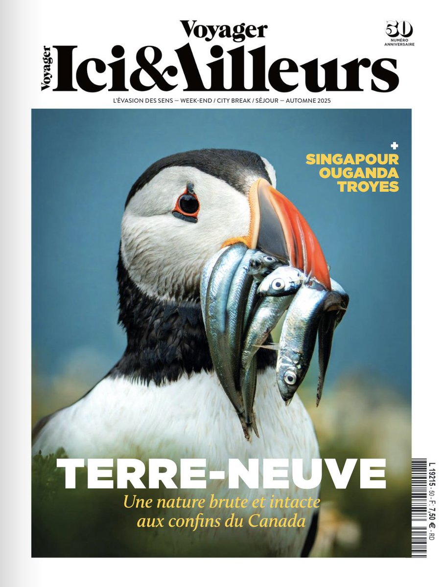 Dunia Travel tweet media