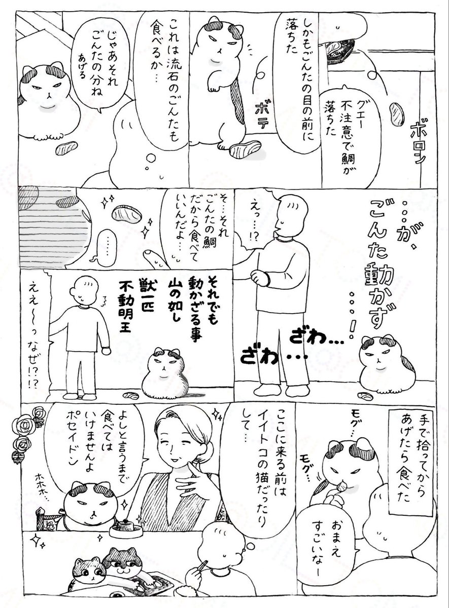 ごんたと鯛のお刺身