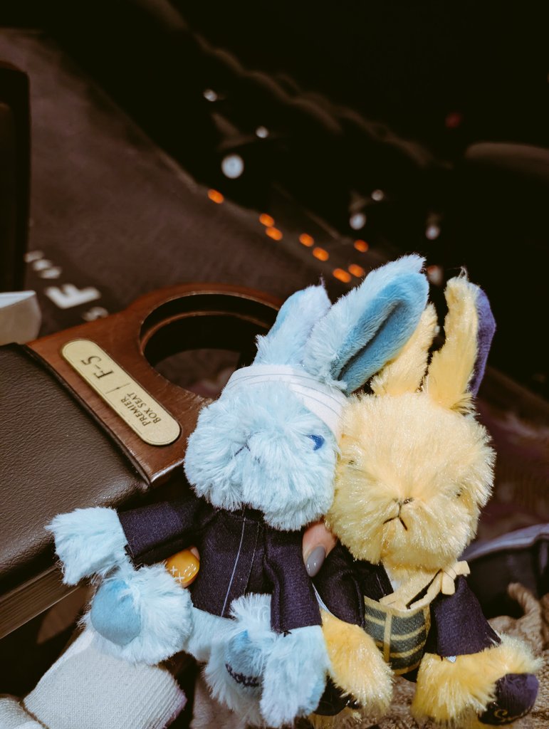 今日も0️⃣観てきた
プレミアムシートで贅沢した😊
前回より玉玉が思い起こされちゃってより泣いてた😭😭😭