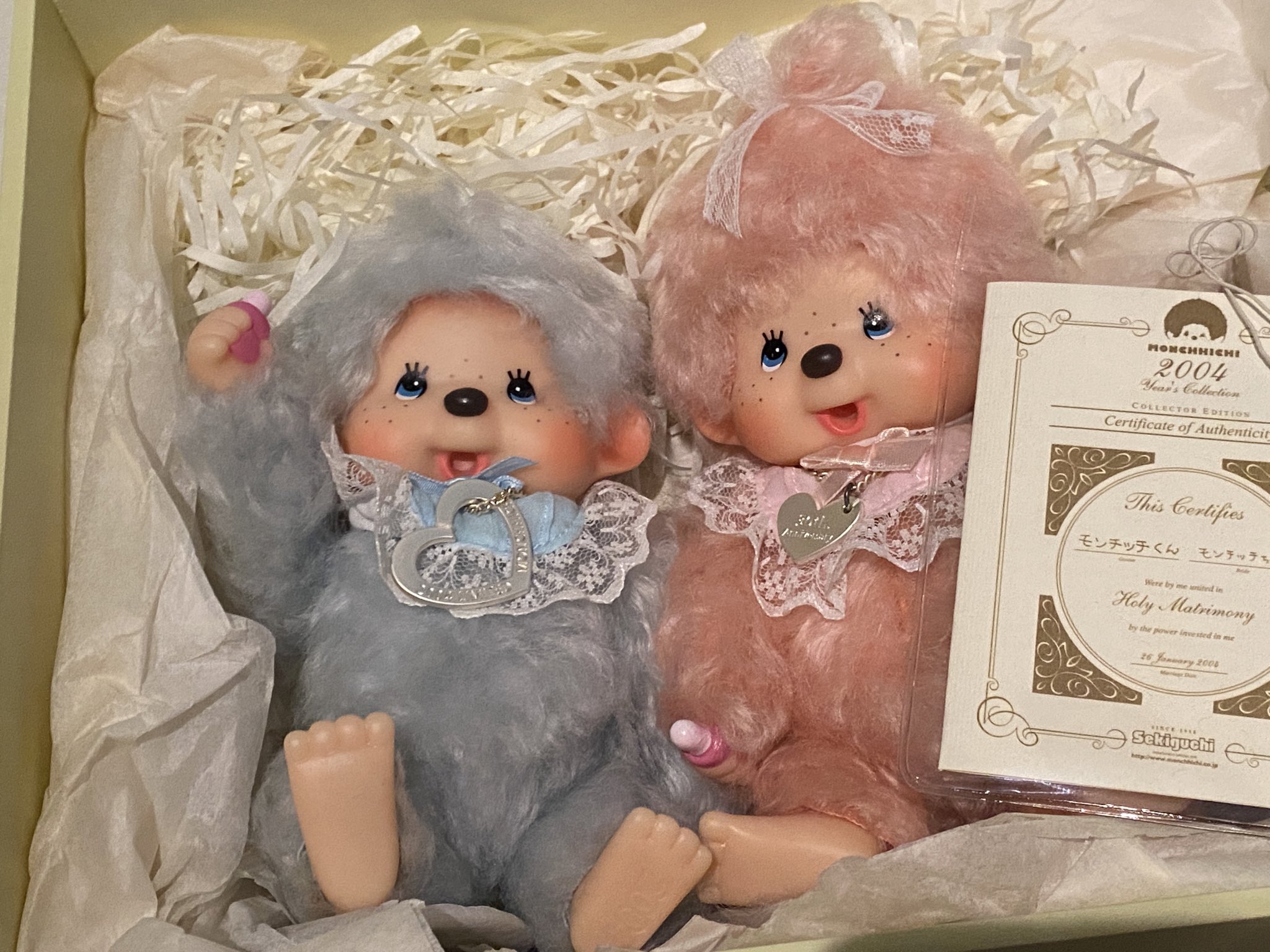 pi 【公式】🐻ぬいぐるみ好き歓迎🐸stop温暖化