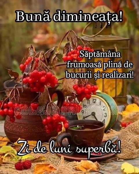 Bună dimineața!☕ Să aveți o săptămână binecuvântată de Dumnezeu alături de cei dragi vouă!🍂🍂🍂