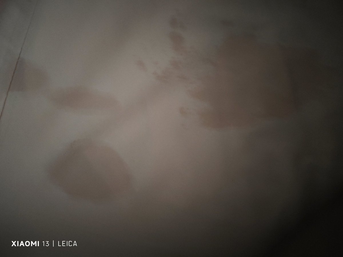 luna tweet media