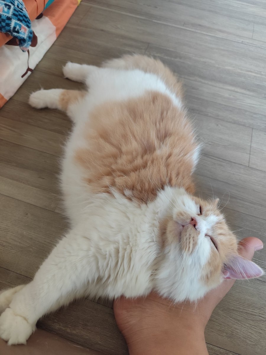 Smngat ia ay hari seninnya, ak turu dlu