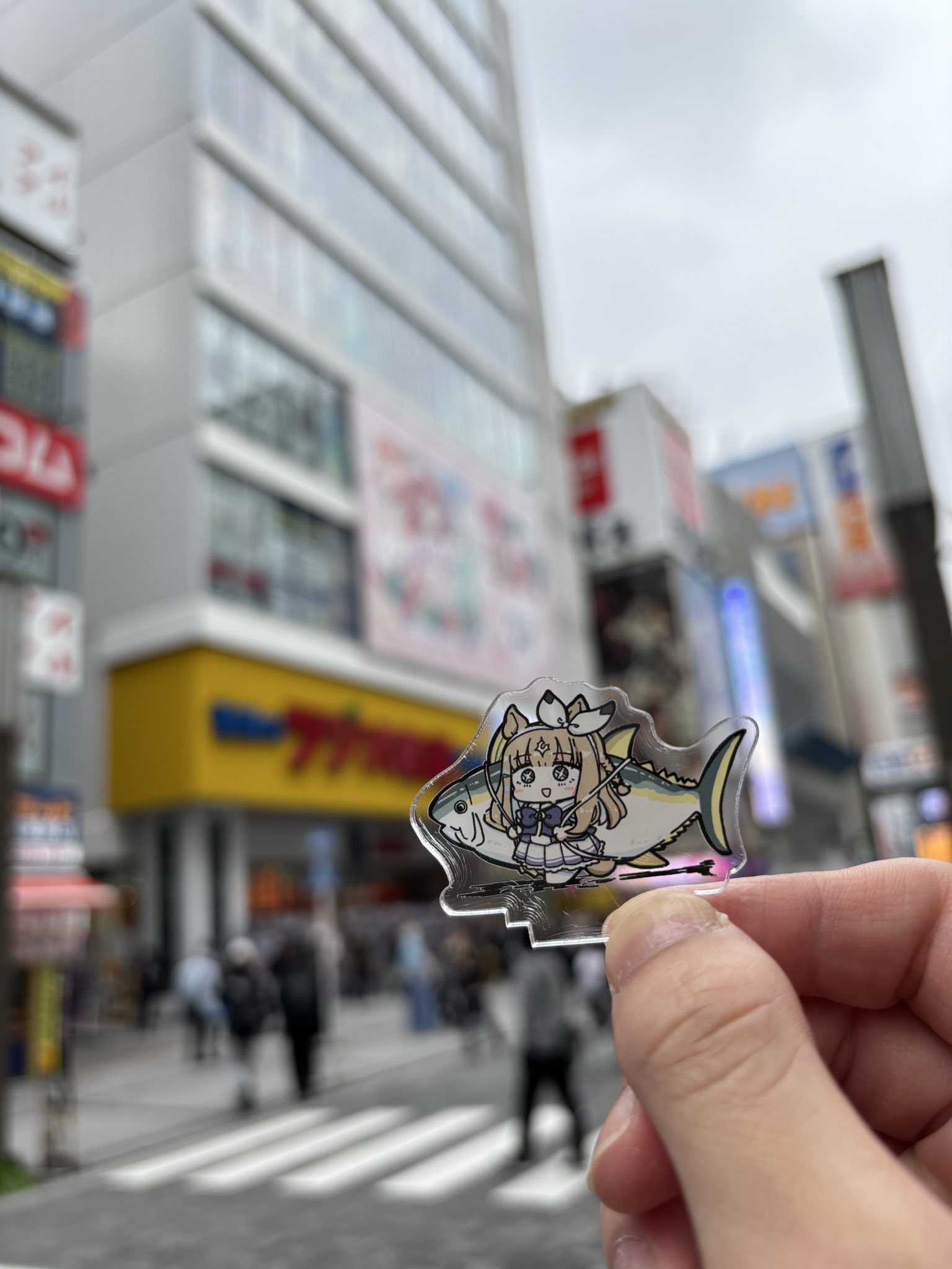 ・原田さま確定 　　　　　　　　　　　　合えばお得 わたげ☕️6thお疲れ様でした on X: 