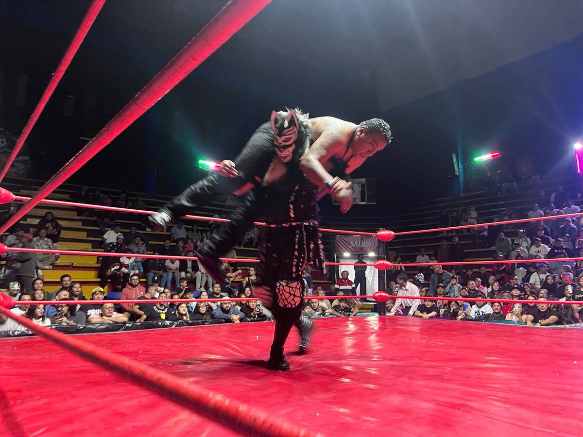 LaTijeraLucha's tweet image. Lucha pasional en #ArenaNeza de joven talento que sigue dando de qué hablar 🔥
En una verdadera reyerta por toda la arena en un ir y venir de acciones.
El “colmillo largo” de #TaqueroMalditoJr y #ToritoNegro dan cuenta de #LobitoI y #DinamicFly,en batalla que prendió al público.