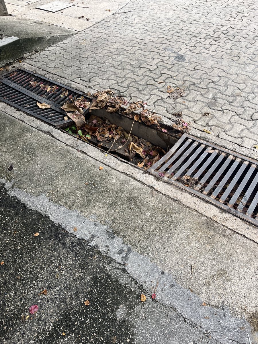 Christelle Patt tweet media