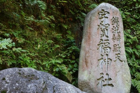 古代ソマチッド【千枚岩】 セタカムイ岩 - 主人を慕い石と化した犬の悲劇