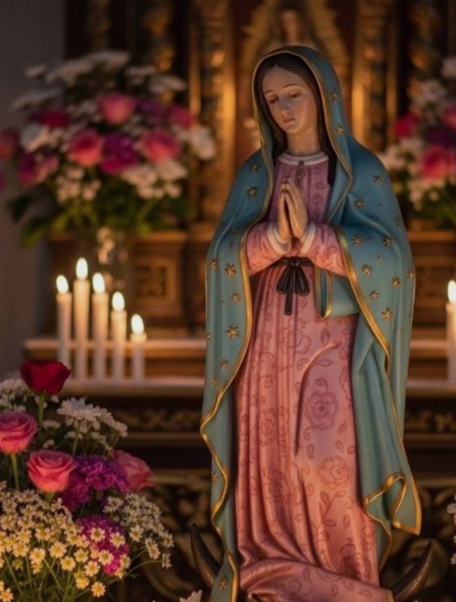 ✝️ Dios te salve, María, 
llena eres de gracia;
el Señor es contigo.
Bendita Tú eres 
entre todas las mujeres,
y bendito es el fruto de tu vientre, Jesús. 

Santa María, Madre de Dios,
ruega por nosotros, pecadores,
ahora y en la hora de nuestra muerte. Amén 🙏