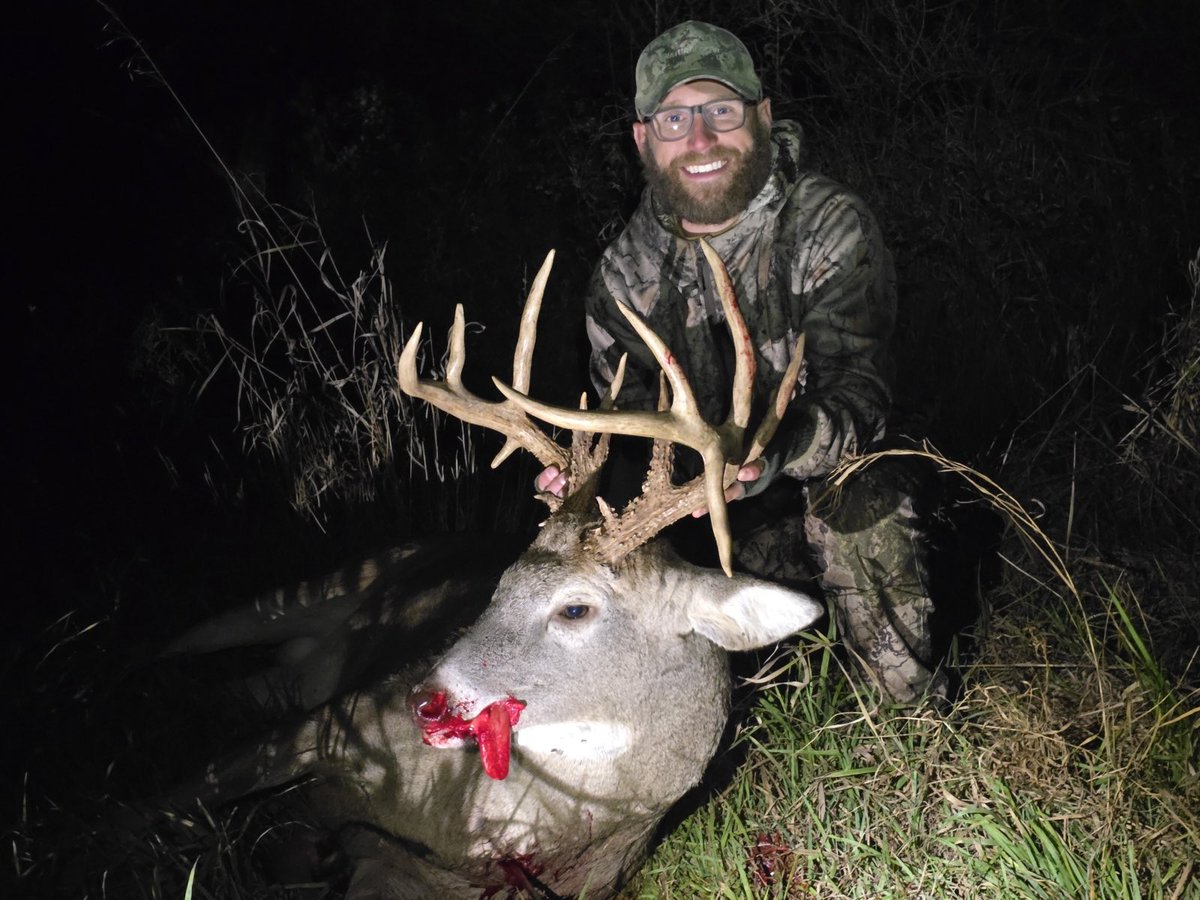 David Williams tweet media