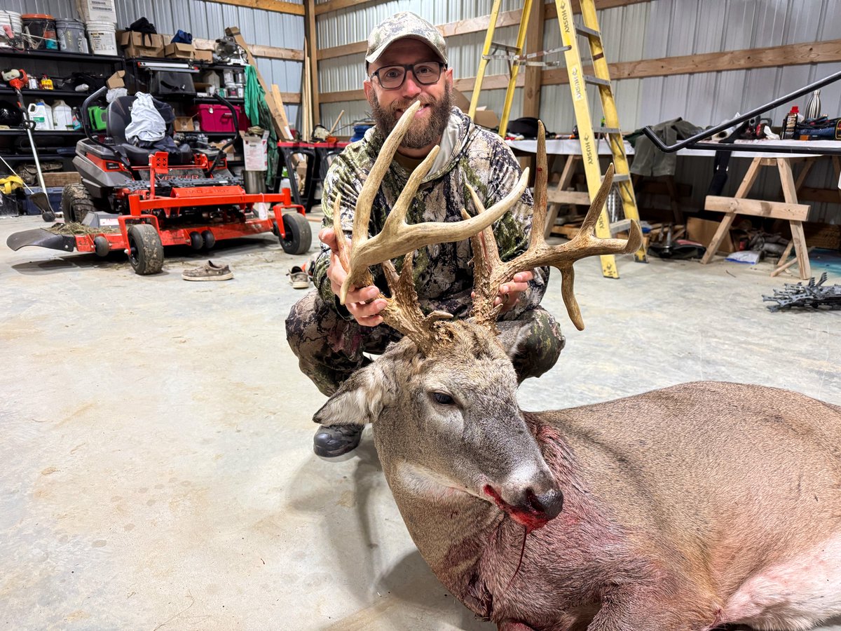 David Williams tweet media