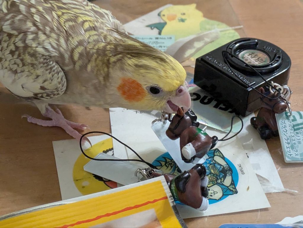 机にミニアイドルホース置いたまま仕事行っちゃったんだけど、昨日散々ビビりまくってたのにオフトレイルを襲ってる模様