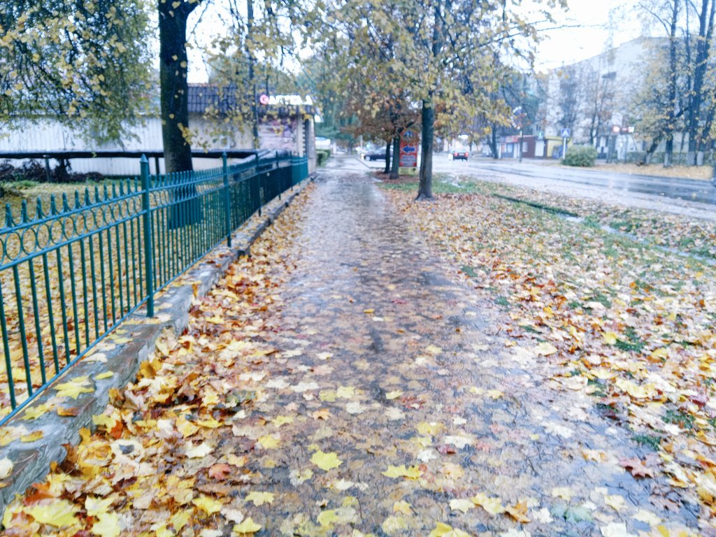 Дорогие друзья доброе утро!
На календаре осень, 20 октября, понедельник! 
Вчера весь день дождь, ночь дождь и сейчас дождь...пора садиться в лодку...
Выспались? Как настроение на новую неделю?